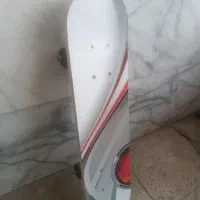 اسکیت برد