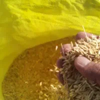 جو ابی|خوردنی و آشامیدنی|اسدآباد, |دیوار