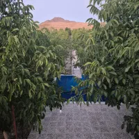 اجاره آپارتمان قائمیه جانبازان