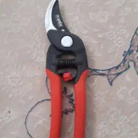 قیچی باغبانی