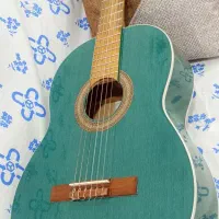گیتار BENBERG