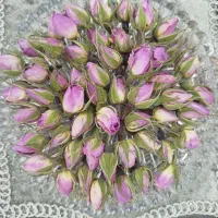 فروش گل محمدی