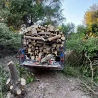 خریدار چوب