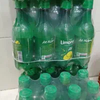 دلستر