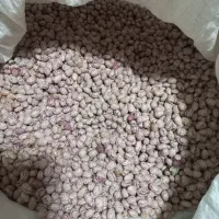 ۱۵۰کیلو لوبیا چیتی بوجار بذری درجه یک غرقابی