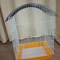 قفس