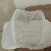 پشه بند