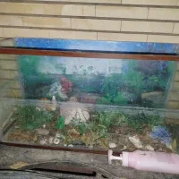 اکواریوم با تجهیزات داخلی