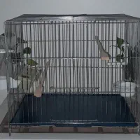 قفس پرنده با لوازم