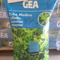 بذر یونجه بذر ذرت بذر سورگوم