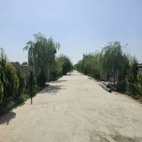قطعات400تا500متری-سند-تک-برگ-تفکیکی-تهراندشت