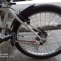 دچرخه ویوا 24