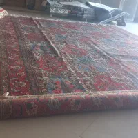 قالی دست بافت  ۶ متری و ۱۲ متری
