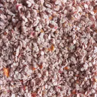 بذرگوجه|خدمات باغبانی و درختکاری|اصفهان, ارداجی|دیوار