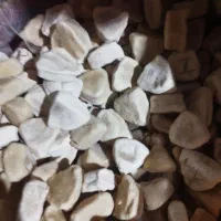 کشک‌‌‌ محلی درجه یک گوسفندی