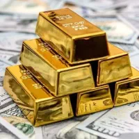 در سه دقیقه برداشت پولتو بزن