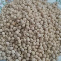 فروش نخود و لپه درجه یک محلی