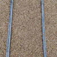 توم هاشمی و صدری