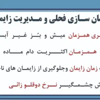 مدیریت تولید مثل گوسفند و بز