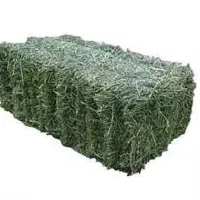 پرس یونجه