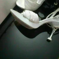 کیف و کفش ست مجلسی