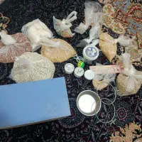 مکمل ظرف و لونه پرنده