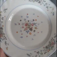 سرویس غذا خوری آرکوپال ویکتوریا