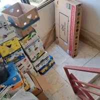 کارتن موز ۳۰ عدد