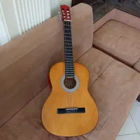 گیتار ماکسین