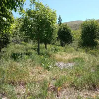 باغ در لواسان