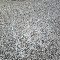 حفاظ قوطی شمش میلگرد نرده دیوار دزدگیر اهن خانه