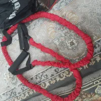 کش ورزشی