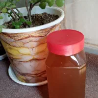 عسل طبیعی