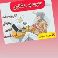 باکد نمایندگی