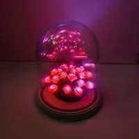 شب خواب ـ چراغ خواب|چراغ خواب و آباژور|قم, پردیسان|دیوار