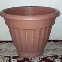 گلدان بزرگ پلاستیکی
