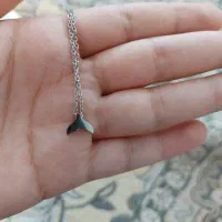 بدلیجات استیل رنگ ثابت
