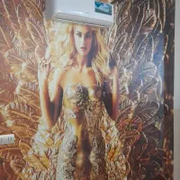 کاغذدیواری|خدمات پیشه و مهارت|گلبهار, شهر جدید گلبهار|دیوار