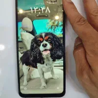 Poco C71|موبایل|مراغه, |دیوار