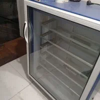 دستگاه جوجه کشی بلدرچین دماوند
