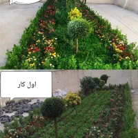 خدمات باغبانی وتعویض خاک گلدون درمنزل وشرکت