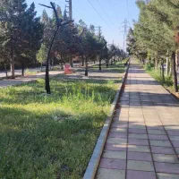 مرزداران موقعیت اداری