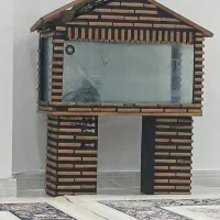 اکواریوم کلبه ای سالم