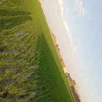 پلاک-باغی-500-m-جاده-ساحلی-سند-و-مجوز-رسمی