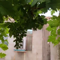 خانه-ویلایی
