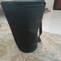 تیمپو شاین دار