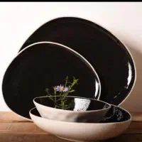ظروف خاص پذیرایی