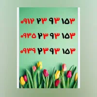 سیم کارت رند