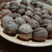 گردو با پوست