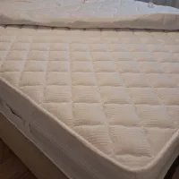 تشک کینگ ویستر